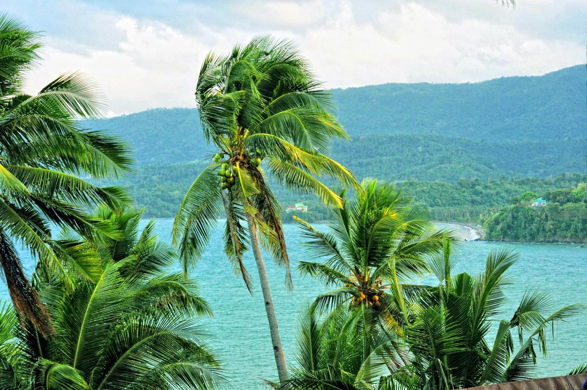 De Pico Highland Puerto Galera